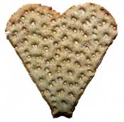 Lifecruisers heartshaped crispbread