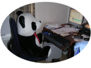 The Giant Panda Orvar in front of the computer